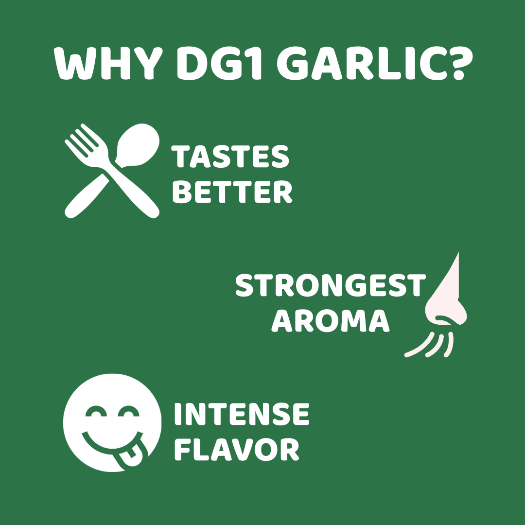 DG1 Garlic Powder