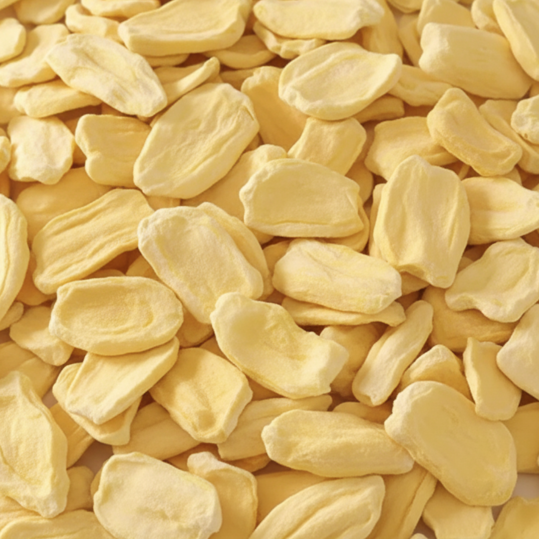 DG1 Freeze Dried Jackfruit Slices