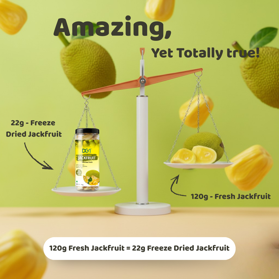 DG1 Freeze Dried Jackfruit Slices